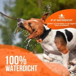 Strex Anti Blafband Voor Honden - 3-60KG - Oplaadbaar - Zonder Schok - Vibratie En Audio - Diervriendelijk - Anti Blaf Band - Anti Blaf Apparaat - Opvoedingshalsband Alle Honden 15 Strex Anti Blafband Voor Honden - 3-60KG - Oplaadbaar - Zonder Schok - Vibratie En Audio - Diervriendelijk - Anti Blaf Band - Anti Blaf Apparaat - Opvoedingshalsband Alle Honden -Hondenbenodigdheden 1200x1200 785