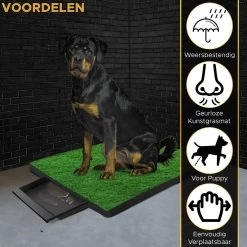 Toivo HondenToilet Kunstgras - Zwart - Geurafstotend - 62 X 49 X 6.6 CM - Honden Wc Outdoor - Zindelijkheidstraining Hond - Puppy Pads - Dierentoilet 14 Toivo HondenToilet Kunstgras - Zwart - Geurafstotend - 62 X 49 X 6.6 CM - Honden Wc Outdoor - Zindelijkheidstraining Hond - Puppy Pads - Dierentoilet -Hondenbenodigdheden 1200x1200 806