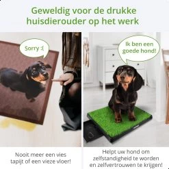 AWEMOZ Hondentoilet Kunstgras - Met 2 Matten En Opvangbak - 64x52x7,5cm - Puppy Pads - Zindelijkheidstraining Hond - Training Pads - Indoor / Outdoor Honden Toilet 15 AWEMOZ Hondentoilet Kunstgras - Met 2 Matten En Opvangbak - 64x52x7,5cm - Puppy Pads - Zindelijkheidstraining Hond - Training Pads - Indoor / Outdoor Honden Toilet -Hondenbenodigdheden 1200x1200 814