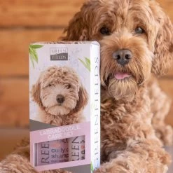 Greenfields Labradoodle Vacht Verzorgingsset - Shampoo En Anti-Klit Spray Voor Langharige Of Krullende Vacht -Hondenbenodigdheden 1200x1200 88
