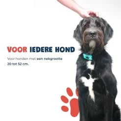 Anti Blafband - Blafband Voor Honden - Anti Blaf Apparaat - Blafband - Diervriendelijk & Zonder Schok 18 Anti Blafband - Blafband Voor Honden - Anti Blaf Apparaat - Blafband - Diervriendelijk & Zonder Schok -Hondenbenodigdheden 1200x1200 887