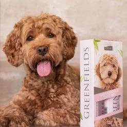 Greenfields Labradoodle Vacht Verzorgingsset - Shampoo En Anti-Klit Spray Voor Langharige Of Krullende Vacht -Hondenbenodigdheden 1200x1200 89
