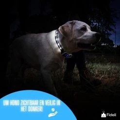 Fideli Anti Blafband - Zonder Schok - Grote En Kleine Honden - Oplaadbaar - LED Verlichte Band 18 Fideli Anti Blafband - Zonder Schok - Grote En Kleine Honden - Oplaadbaar - LED Verlichte Band -Hondenbenodigdheden 1200x1200 898