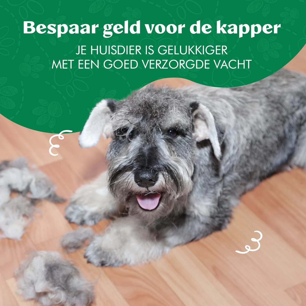 Mister Mill Professionele Set Honden Kattenborstel - Ondervachtkam Plus Slickerborstel 19 Mister Mill Professionele Set Honden Kattenborstel - Ondervachtkam Plus Slickerborstel - Afbeelding 17