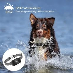 Salvano Anti Blafband - Blafband Voor Honden - Opvoedingshalsbanden - Voor Kleine En Grote Honden - Anti Blafband Zonder Schok- Oplaadbaar - Anti Blaf Apparaat - Blafband - Diervriendelijk -Hondenbenodigdheden 1200x1200 901