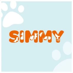 Simmy Anti Blafband - Diervriendelijke Opvoedingshalsband - Zwart En Blauw - Diervriendelijk - Zonder Schok - Anti Blaf Band Voor Grote En Kleine Honden -Hondenbenodigdheden 1200x1200 907