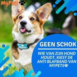 MyPets™ Anti-blafband - Anti Blaf Apparaat - Voor Kleine Honden En Grote Honden - Diervriendelijk - Opvoedingshalsband - Trainingshalsband - 2022/2023 Versie - Inclusief Batterijen 14 MyPets™ Anti-blafband - Anti Blaf Apparaat - Voor Kleine Honden En Grote Honden - Diervriendelijk - Opvoedingshalsband - Trainingshalsband - 2022/2023 Versie - Inclusief Batterijen -Hondenbenodigdheden 1200x1200 914
