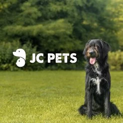 JC Pets Premium Pluizenborstel - Huisdierhaar Verwijderaar – Pluizenverwijderaar – Honden En Kattenhaar Verwijderaar - Ontpluizer - Pluizenroller -Hondenbenodigdheden 1200x1200 93