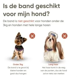 Premium Anti Blafband Om Je Hond Snel En Effectief Te Laten Stoppen Met Blaffen - Diervriendelijke Opvoedingshalsband Zonder Schok - Trainingshalsband Voor Grote En Kleine Honden - Anti Blaf Apparaat - Correctie Halsband 13 Premium Anti Blafband Om Je Hond Snel En Effectief Te Laten Stoppen Met Blaffen - Diervriendelijke Opvoedingshalsband Zonder Schok - Trainingshalsband Voor Grote En Kleine Honden - Anti Blaf Apparaat - Correctie Halsband -Hondenbenodigdheden 1200x1200 941