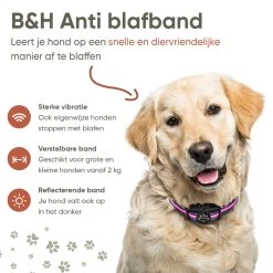 Premium Anti Blafband Om Je Hond Snel En Effectief Te Laten Stoppen Met Blaffen - Diervriendelijke Opvoedingshalsband Zonder Schok - Trainingshalsband Voor Grote En Kleine Honden - Anti Blaf Apparaat - Correctie Halsband 17 Premium Anti Blafband Om Je Hond Snel En Effectief Te Laten Stoppen Met Blaffen - Diervriendelijke Opvoedingshalsband Zonder Schok - Trainingshalsband Voor Grote En Kleine Honden - Anti Blaf Apparaat - Correctie Halsband -Hondenbenodigdheden 1200x1200 945