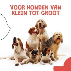 JC Pets Ultrasone Anti Blaf Apparaat Voor Kleine En Grote Honden - Oplaadbaar - Alternatief Anti Blafband Voor Honden - Diervriendelijk & Zonder Schok 18 JC Pets Ultrasone Anti Blaf Apparaat Voor Kleine En Grote Honden - Oplaadbaar - Alternatief Anti Blafband Voor Honden - Diervriendelijk & Zonder Schok -Hondenbenodigdheden 1200x1200 960