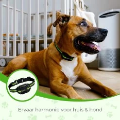 Petz - Anti Blafband - Anti Blafband Voor Kleine En Grote Honden - 5-55 KG - Vibratie En Audio - Diervriendelijk - GEEN Schokken - Opvoedingshalsband Zonder Schok En Diervriendelijk - Waterdicht - Oplaadbaar -Hondenbenodigdheden 1200x1200 965