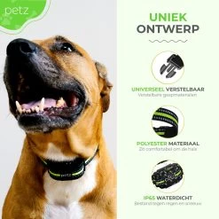 Petz - Anti Blafband - Anti Blafband Voor Kleine En Grote Honden - 5-55 KG - Vibratie En Audio - Diervriendelijk - GEEN Schokken - Opvoedingshalsband Zonder Schok En Diervriendelijk - Waterdicht - Oplaadbaar -Hondenbenodigdheden 1200x1200 966