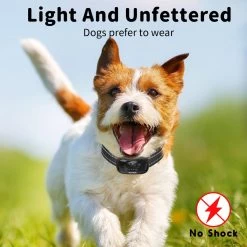 NIIYEBU Anti Blafband - Blafbanden Voor Honden - Anti Blaf Apparaat - Diervriendelijk - Zonder Schok - Vibratie En Audio 14 NIIYEBU Anti Blafband - Blafbanden Voor Honden - Anti Blaf Apparaat - Diervriendelijk - Zonder Schok - Vibratie En Audio -Hondenbenodigdheden 1200x1200 972