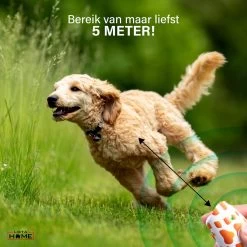 Merkloos LotaHome - Anti Blaf Apparaat - Hondentrainer Voor Binnen En Buiten - Bereik Tot 15 Meter - Diervriendelijk - Zonder Schok - Ultrasone - Voor Alle Honden - Inclusief Clicker 24 Merkloos LotaHome - Anti Blaf Apparaat - Hondentrainer Voor Binnen En Buiten - Bereik Tot 15 Meter - Diervriendelijk - Zonder Schok - Ultrasone - Voor Alle Honden - Inclusief Clicker -Hondenbenodigdheden 1200x1200 977
