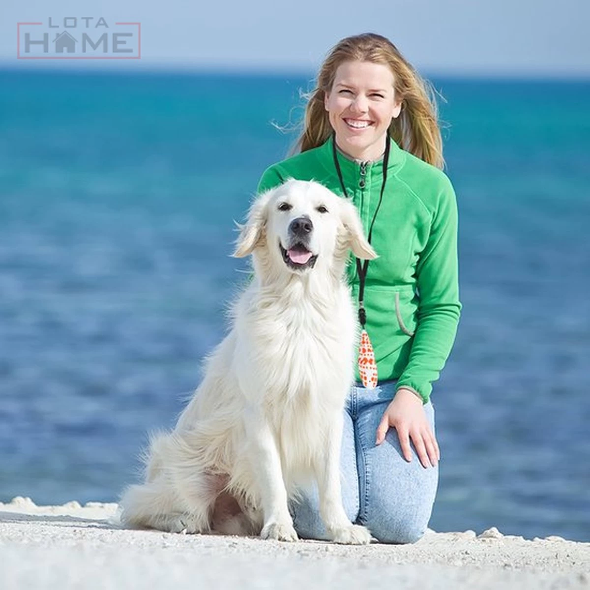 Merkloos LotaHome - Anti Blaf Apparaat - Hondentrainer Voor Binnen En Buiten - Bereik Tot 15 Meter - Diervriendelijk - Zonder Schok - Ultrasone - Voor Alle Honden - Inclusief Clicker 20 Merkloos LotaHome - Anti Blaf Apparaat - Hondentrainer Voor Binnen En Buiten - Bereik Tot 15 Meter - Diervriendelijk - Zonder Schok - Ultrasone - Voor Alle Honden - Inclusief Clicker - Afbeelding 18