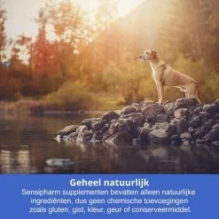 Sensipharm Bitterspray Anti Bijt Spray - Hond, Kat, Konijn & Vogel - Bitter Anti Kauw Knabbel Knaag - 100 Ml -Hondenbenodigdheden 1200x1200 985