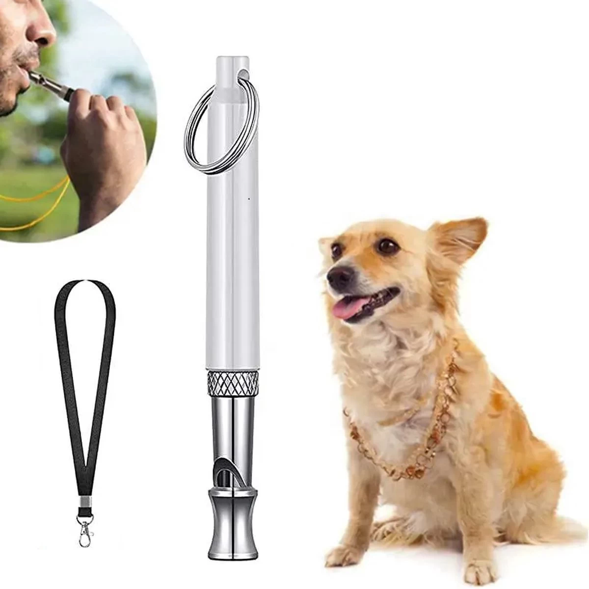 Hondenfluitje Ultrasoon + Gratis Keycord - Hondenfluitje - Hondenfluitje Jachthond - Ultrasoon Hondenfluitje - Hondenfluit - Wit - 1 Stuk 3 Hondenfluitje Ultrasoon + Gratis Keycord - Hondenfluitje - Hondenfluitje Jachthond - Ultrasoon Hondenfluitje - Hondenfluit - Wit - 1 Stuk