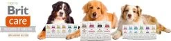 Brit Care Adult Small Breed Lamb & Rice 7,5 Kg - Hond 9 Brit Care Adult Small Breed Lamb & Rice 7,5 Kg - Hond -Hondenbenodigdheden 1200x290 1