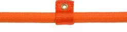 Rebel Petz - Honden Trainingslijn Met Halsband - Taupe, Zwart, Groen & Oranje - Maat Small Of Large - Kleur: Oranje, Maat: Large 26 Rebel Petz - Honden Trainingslijn Met Halsband - Taupe, Zwart, Groen & Oranje - Maat Small Of Large - Kleur: Oranje, Maat: Large -Hondenbenodigdheden 1200x312