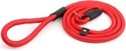 LOUZIR Cesar Millan Sliplijn Met Stop - Hondenriem - Rood - 130 Cm 23 LOUZIR Cesar Millan Sliplijn Met Stop - Hondenriem - Rood - 130 Cm -Hondenbenodigdheden 1200x484 1