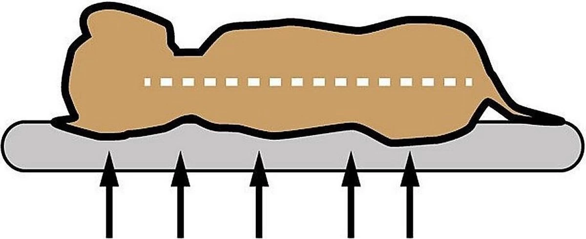 Sun Garden Buddy Orthopedisch Hondenkussen 72x50x8cm Antraciet 5 Sun Garden Buddy Orthopedisch Hondenkussen 72x50x8cm Antraciet - Afbeelding 3