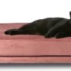 Maxxpro Katten- En Hondenbank - Roze - Verhoogd Met Houten Poten - Fluweel Materiaal - 90 X 44 X 34 CM - Huisdieren Tot 80 KG -Hondenbenodigdheden 1200x585 5