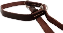 Multifunctionele Hondenriem - 220cm - Bruin - Leren Hondenriem - 100% Volnerfleer - Hondenriem Leer - Leiband Hond 16 Multifunctionele Hondenriem - 220cm - Bruin - Leren Hondenriem - 100% Volnerfleer - Hondenriem Leer - Leiband Hond -Hondenbenodigdheden 1200x631