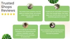 TraumaPet Tandpasta Met Colloïdaal Zilver Voor Dieren | Met Vleessmaak | Bij Stinkende Adem | Tandplak | Geïrriteerd Tandvlees | Tandsteen 7 TraumaPet Tandpasta Met Colloïdaal Zilver Voor Dieren | Met Vleessmaak | Bij Stinkende Adem | Tandplak | Geïrriteerd Tandvlees | Tandsteen -Hondenbenodigdheden 1200x666 2