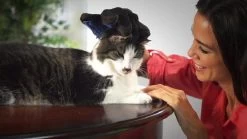 Vacht Verzorgingsborstel Voor Huisdieren - Blauw - LimitedDeals - Voor Honden Katten Konijnen Paarden - Tevens Massage Handschoen Voor Dieren! - Goed Voor De Verzorging Van De Vacht 18 Vacht Verzorgingsborstel Voor Huisdieren - Blauw - LimitedDeals - Voor Honden Katten Konijnen Paarden - Tevens Massage Handschoen Voor Dieren! - Goed Voor De Verzorging Van De Vacht -Hondenbenodigdheden 1200x674