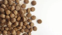 Carocroc Puppy Large Breed 15 KG 17 Carocroc Puppy Large Breed 15 KG -Hondenbenodigdheden 1200x675 1