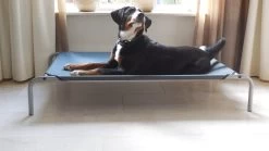 PawHut Hondenstretcher XL 110x68x19 Cm. Bruin / Grijs 17 PawHut Hondenstretcher XL 110x68x19 Cm. Bruin / Grijs -Hondenbenodigdheden 1200x675 3