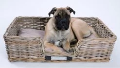 Happy-House Rieten Hondenmand - XL - 90 X 70 Cm Incl Kussen 13 Happy-House Rieten Hondenmand - XL - 90 X 70 Cm Incl Kussen -Hondenbenodigdheden 1200x678 1