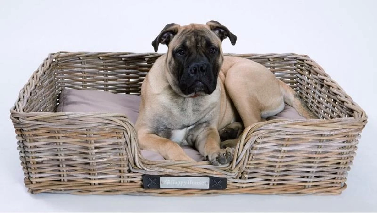 Happy-House Rieten Hondenmand - XL - 90 X 70 Cm Incl Kussen 8 Happy-House Rieten Hondenmand - XL - 90 X 70 Cm Incl Kussen - Afbeelding 6