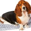 Happysnoots Hondenkussen 70 X 50cm - Hondenbed - Donut Dog Bed - Fluffy - Grijs - Wasbaar -Hondenbenodigdheden 1200x686