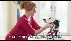 Beaphar Tandenborstel -Hondenbenodigdheden 1200x697 5