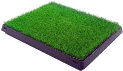 Merkloos Maoo Premium Hondentoilet - Geurbestendig & Hondvriendelijk Kunstgras - Uitneembare Opvangbak - Indoor En Outdoor - 63 X 50 Cm -Hondenbenodigdheden 1200x698