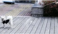 Hondenriem-Looplijn-Zwart/Grijs-8 Meter Oprol-Hond Lijn-Automatisch Rollijn -Hondenbenodigdheden 1200x703