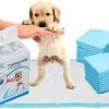 Mr. Poop Toodeloo -Puppy Pads - Training Pads - Maat S: 45 X 33cm - 30 Stuks 1 Mr. Poop Toodeloo -Puppy Pads - Training Pads - Maat S: 45 X 33cm - 30 Stuks -Hondenbenodigdheden 1200x717 2