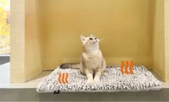 Merkloos Zelfverwarmende Dierendeken Zonder Stroom Thermo Deken Hond Kat Inclusief Adreslabel 70 X 47 Cm 18 Merkloos Zelfverwarmende Dierendeken Zonder Stroom Thermo Deken Hond Kat Inclusief Adreslabel 70 X 47 Cm -Hondenbenodigdheden 1200x730 5