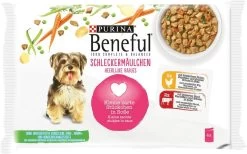 Hondenbenodigdheden 15 Hondenbenodigdheden -Hondenbenodigdheden 1200x750