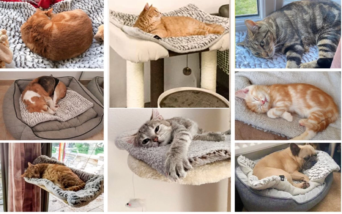 Merkloos Zelfverwarmende Dierendeken Zonder Stroom Thermo Deken Hond Kat Inclusief Adreslabel 70 X 47 Cm 7 Merkloos Zelfverwarmende Dierendeken Zonder Stroom Thermo Deken Hond Kat Inclusief Adreslabel 70 X 47 Cm - Afbeelding 5