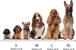 HONDEN RELAX Kussen - Superzacht Fluffy Ronde Mand 100 Cm - Taupe/Zandkleur -Hondenbenodigdheden 1200x790 10