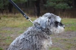 Hondenriem Leer - 2 Meter - Zwart - Hoge Kwaliteit Leer - Lederen Hondenriem - Ambachtelijk Gemaakt In Portugal -Hondenbenodigdheden 1200x794 2