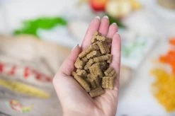 Kivo Petfood Hondenbrokken Kip & Rijst 14 Kg Koudgeperst - Glutenvrij -Hondenbenodigdheden 1200x799 12