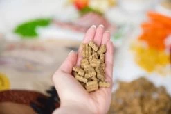 Kivo Petfood PROEFZAKJE Hondenbrokken Lam & Rijst 300 Gram - Koudgeperst - Glutenvrij -Hondenbenodigdheden 1200x799 19