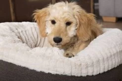 Scruffs Ellen Donut - Warme Hondenmand Van Imitatiebont - Kleur Grijs, Roze Of Bruin - Maat M Of L - Kleur: Grijs, Maat: Medium -Hondenbenodigdheden 1200x799 35