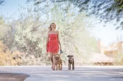 Wigzi Dual Doggie 2.0 Voor Twee Honden - Hondenriem - Grijs - 3m - <22 Kg (per Hond) 14 Wigzi Dual Doggie 2.0 Voor Twee Honden - Hondenriem - Grijs - 3m - <22 Kg (per Hond) -Hondenbenodigdheden 1200x799 6