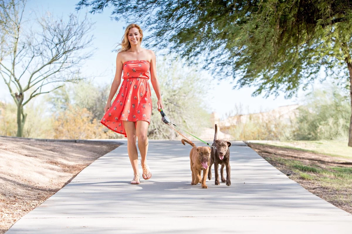 Wigzi Dual Doggie 2.0 Voor Twee Honden - Hondenriem - Grijs - 3m - <22 Kg (per Hond) 8 Wigzi Dual Doggie 2.0 Voor Twee Honden - Hondenriem - Grijs - 3m - <22 Kg (per Hond) - Afbeelding 6