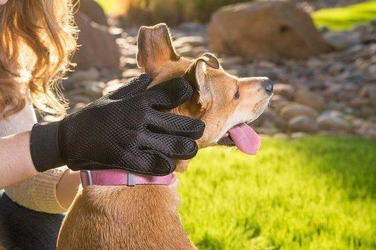 Merkloos Vachtverzorgingshandschoen 19 Merkloos Vachtverzorgingshandschoen - Afbeelding 17